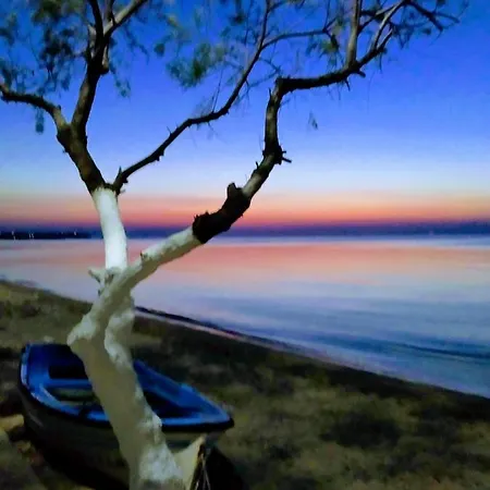 Romance View The Sea Peraía